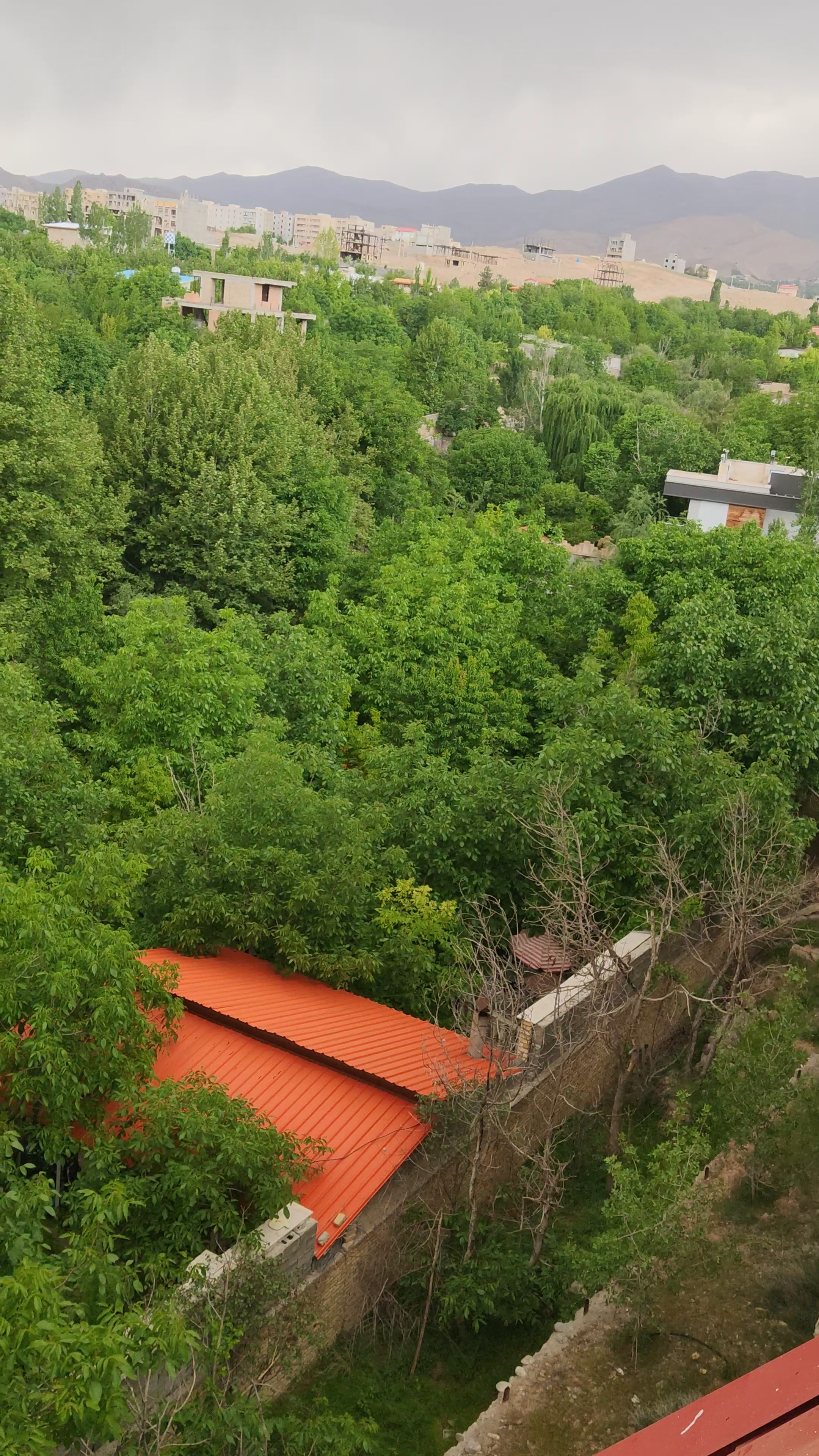 مشاور املاک دهکده سبز