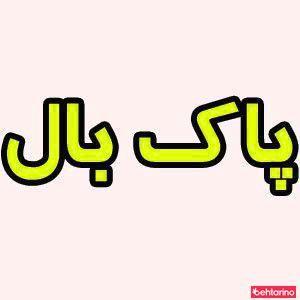 خدمات پاک بال