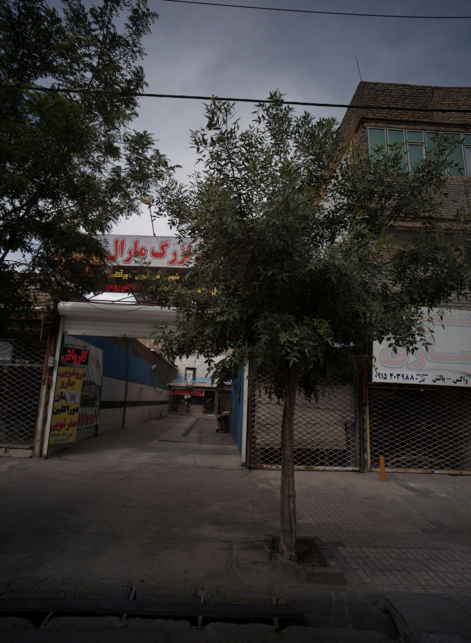 کارواش بزرگ مارال