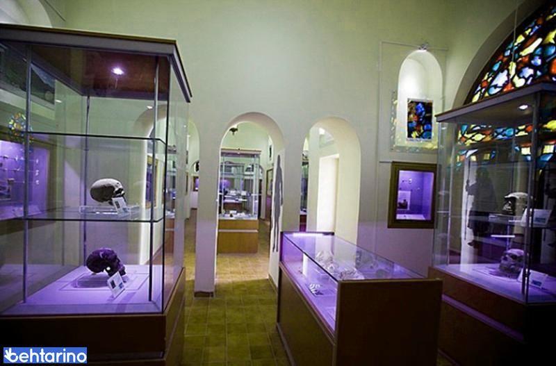 موزه پارینه سنگی زاگرس