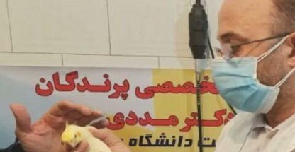 کلینیک دامپزشکی تخصصی پرندگان دکتر مددی