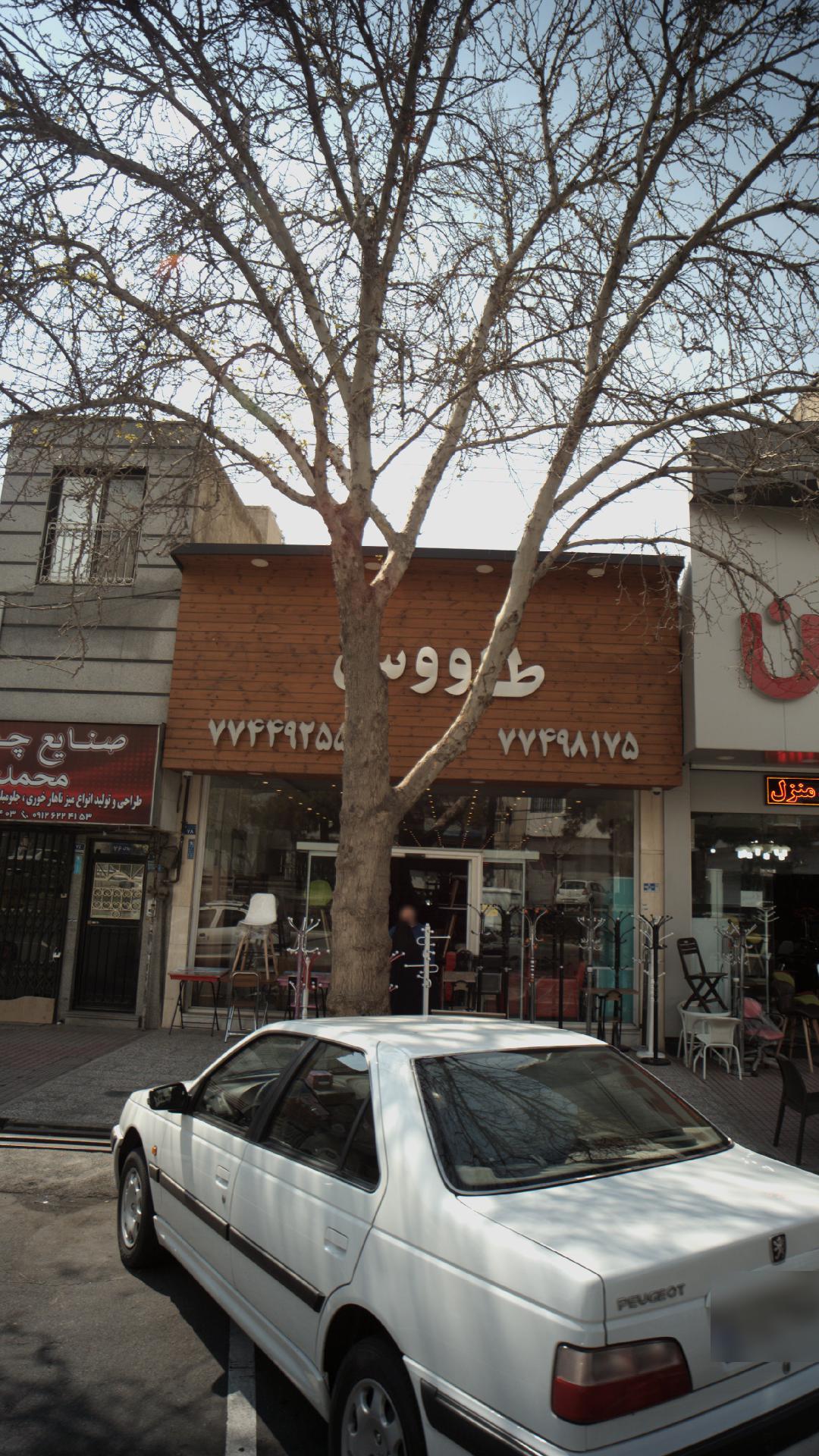 طاووس