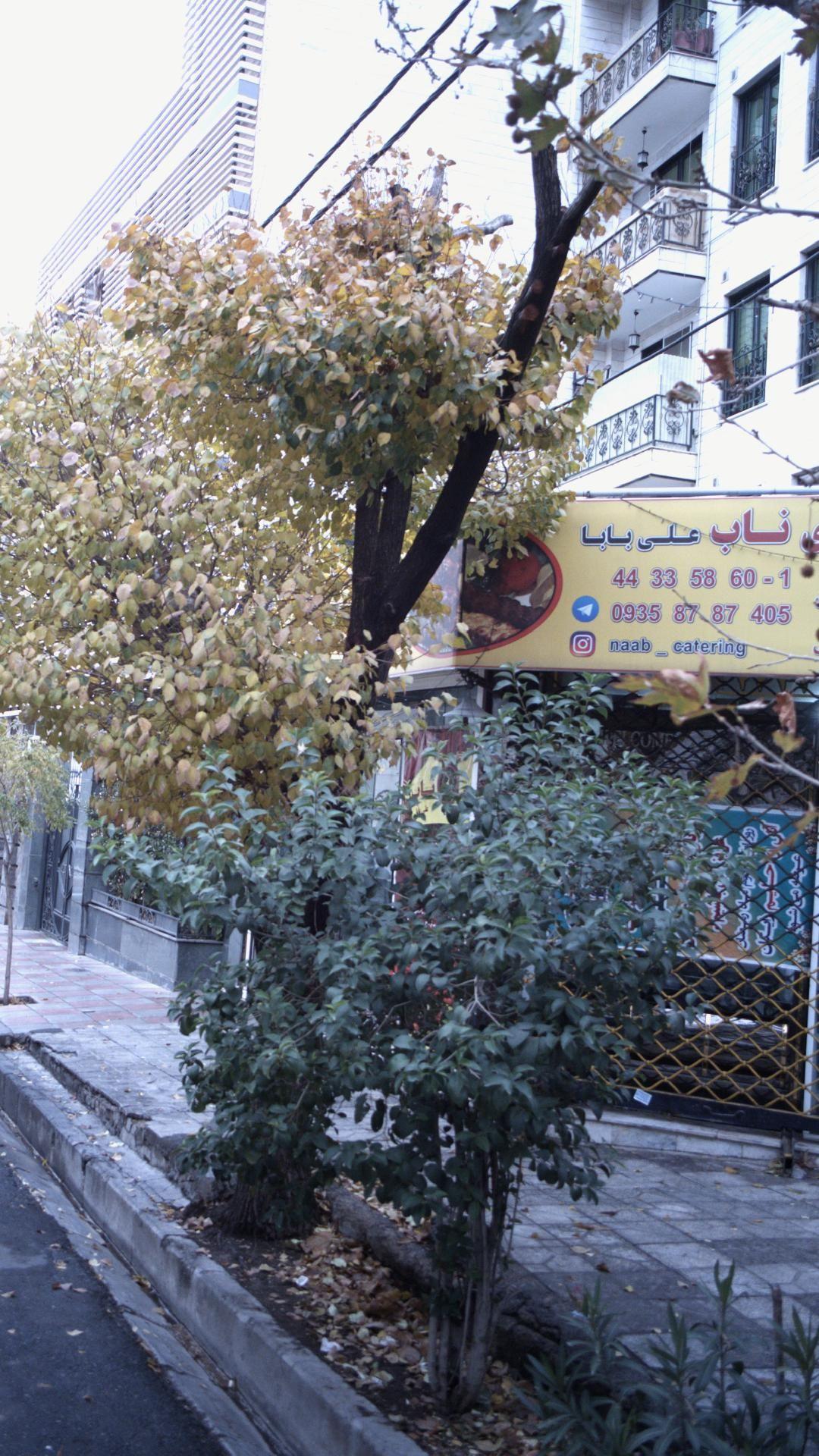 کترینگ علی بابا