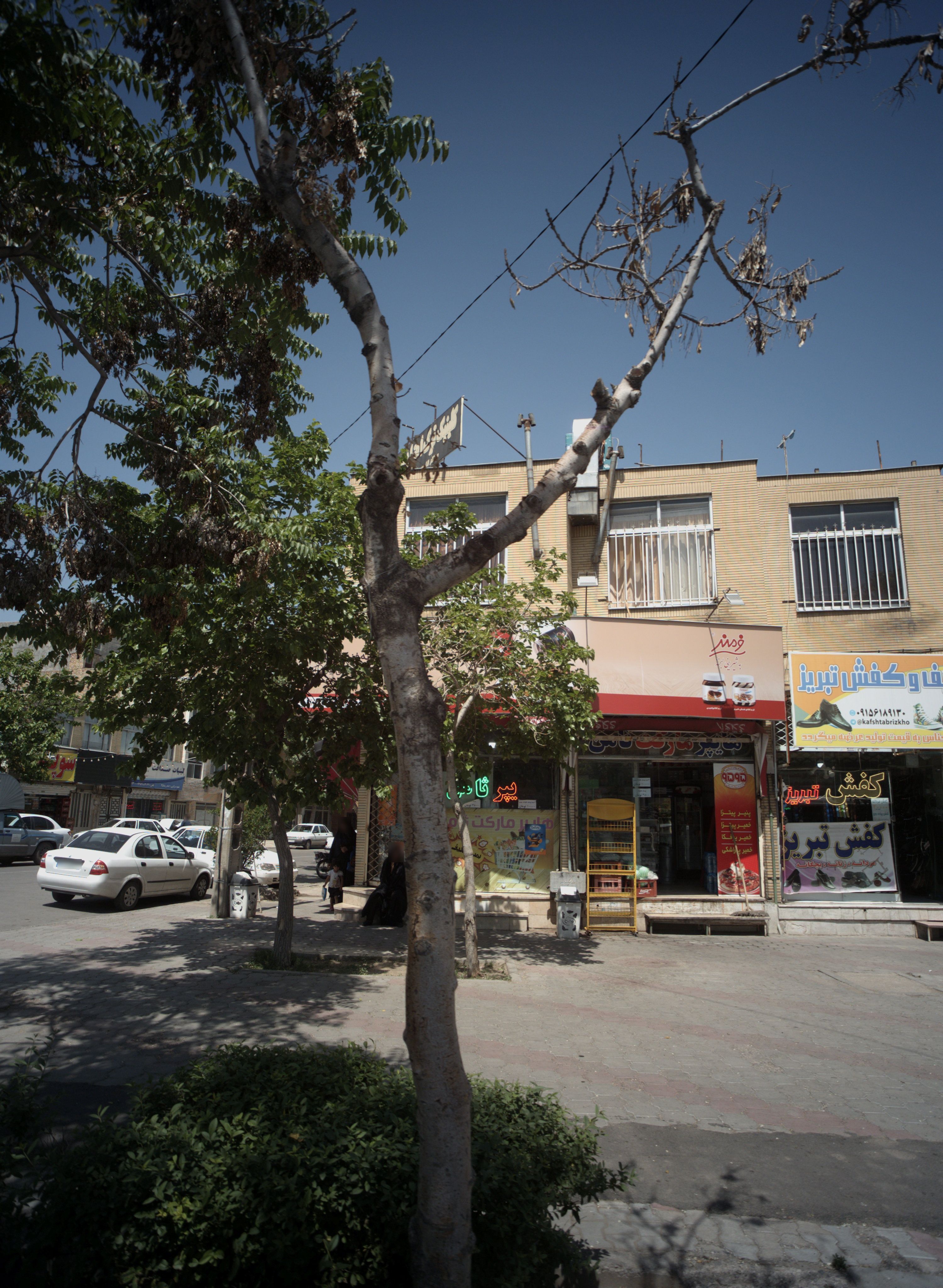 کیف و کفش تبریز