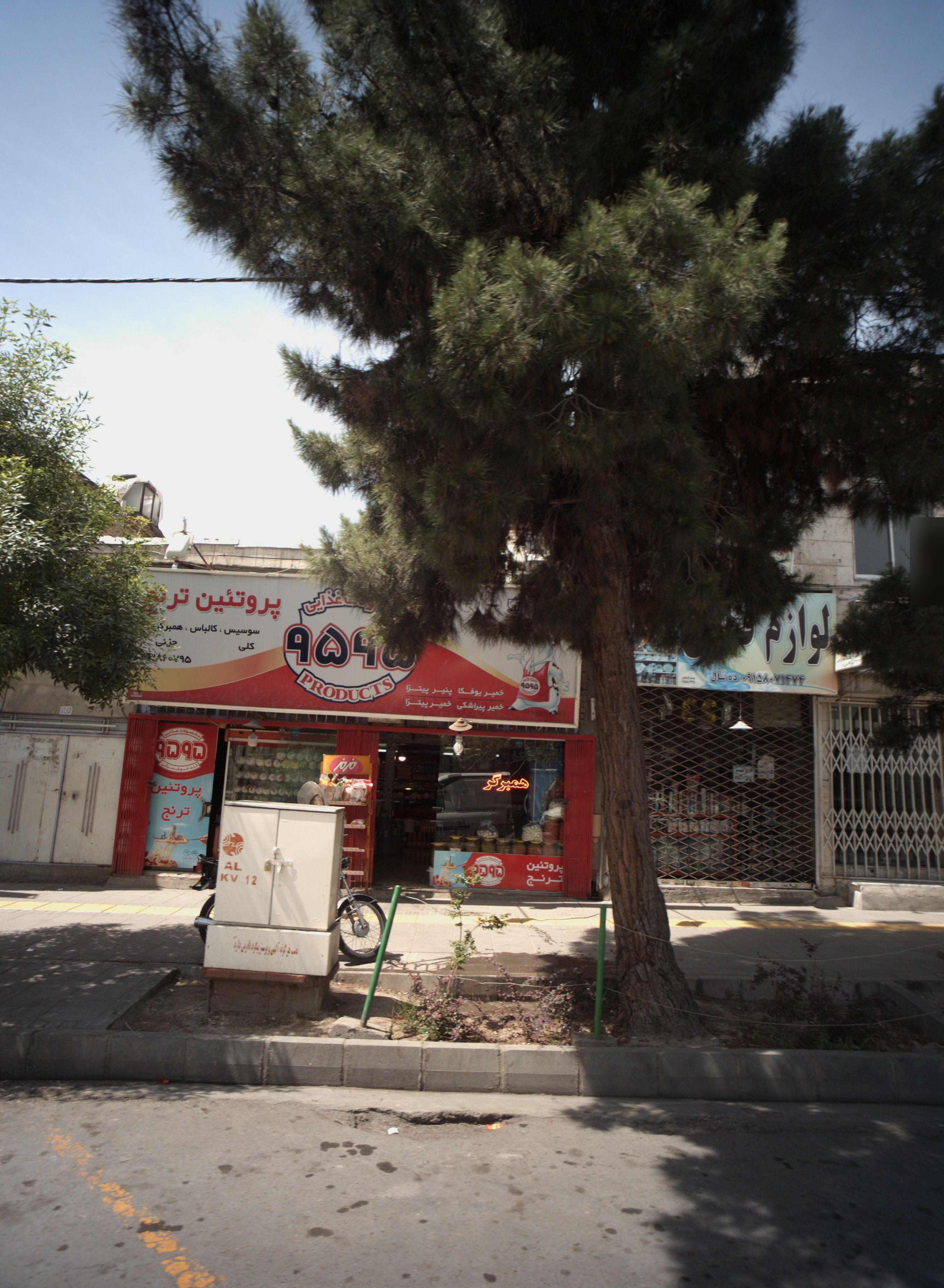 پروتئین ترنج