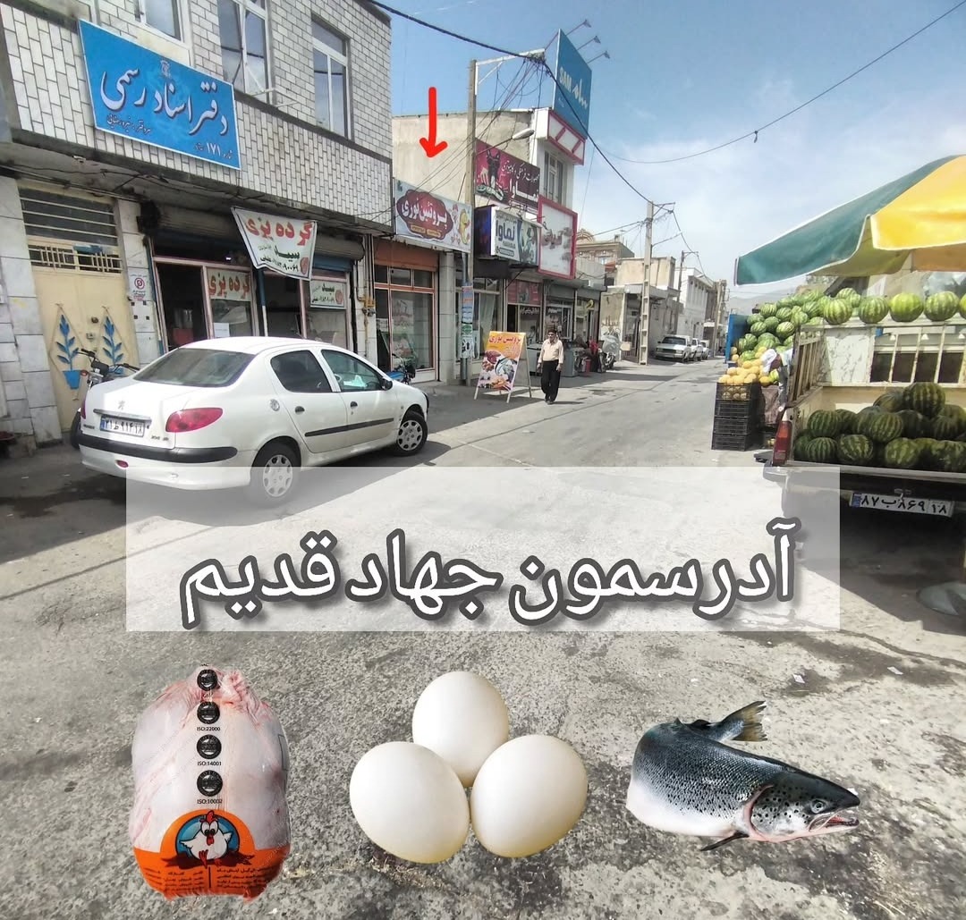 پروتئینی برادران نوری