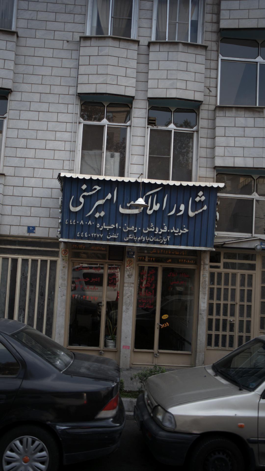 املاک امیر حسنی