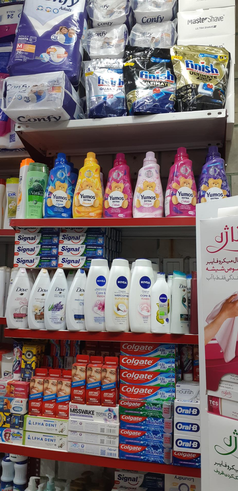 شوینده خارجی خردمند