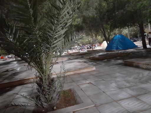 پارک جنگلی