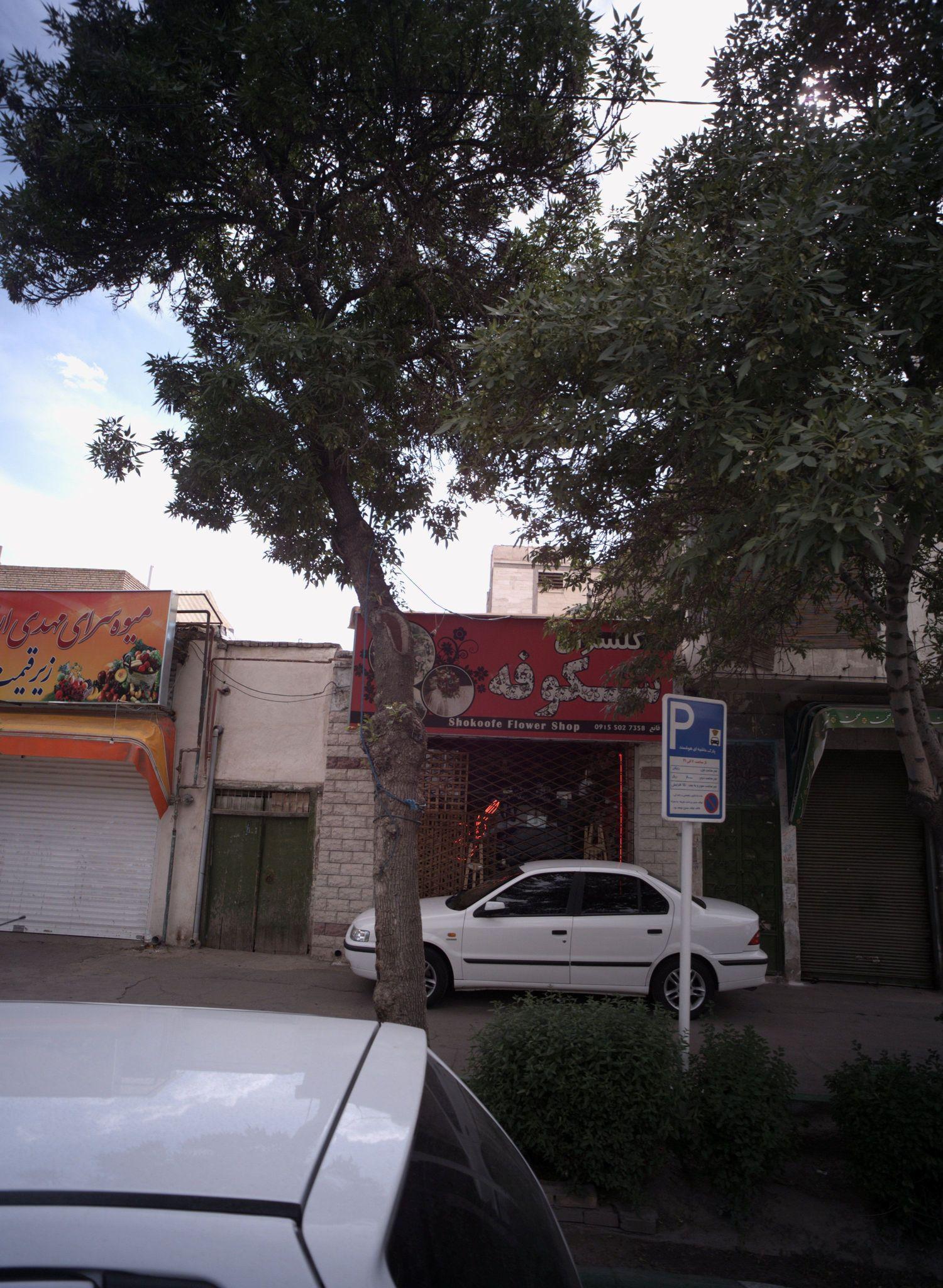 گلسرای شکوفه