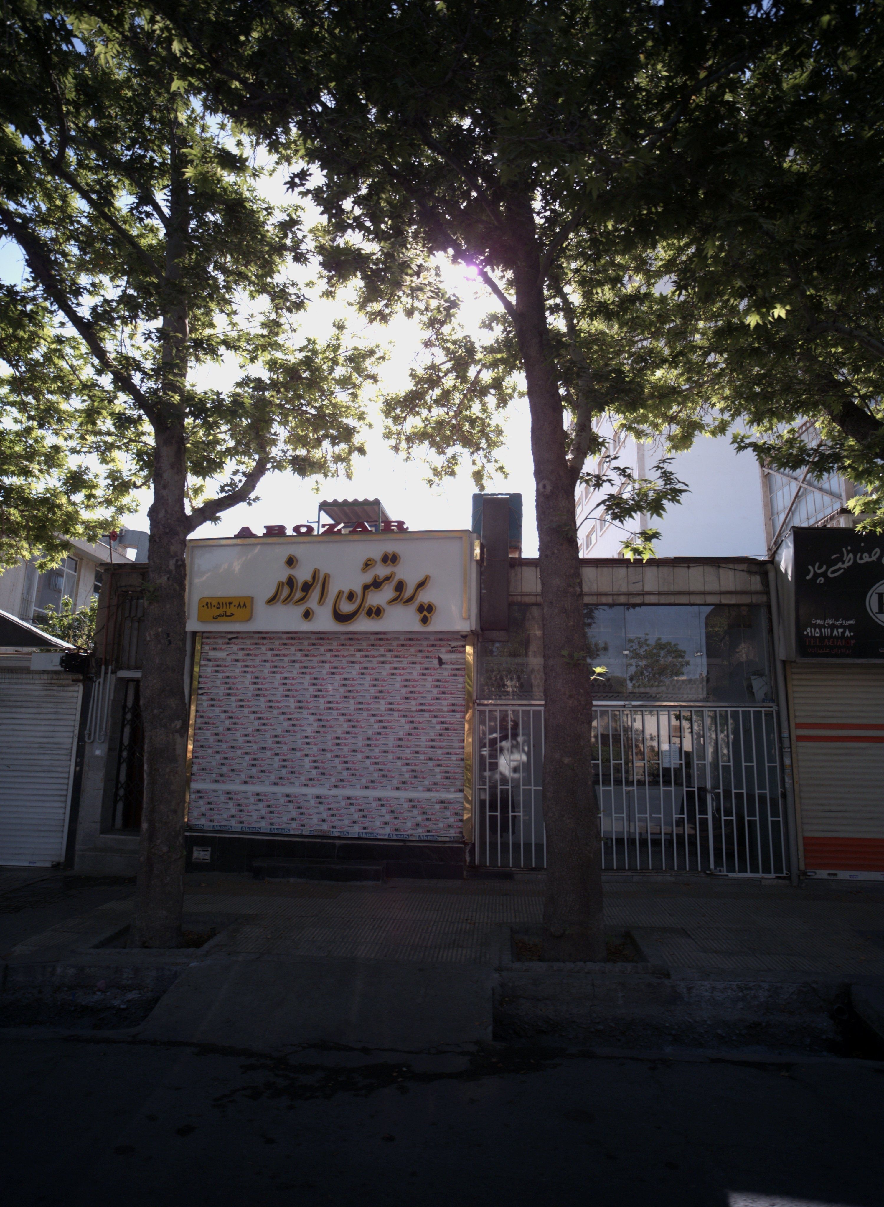 پروتئین ابوذر