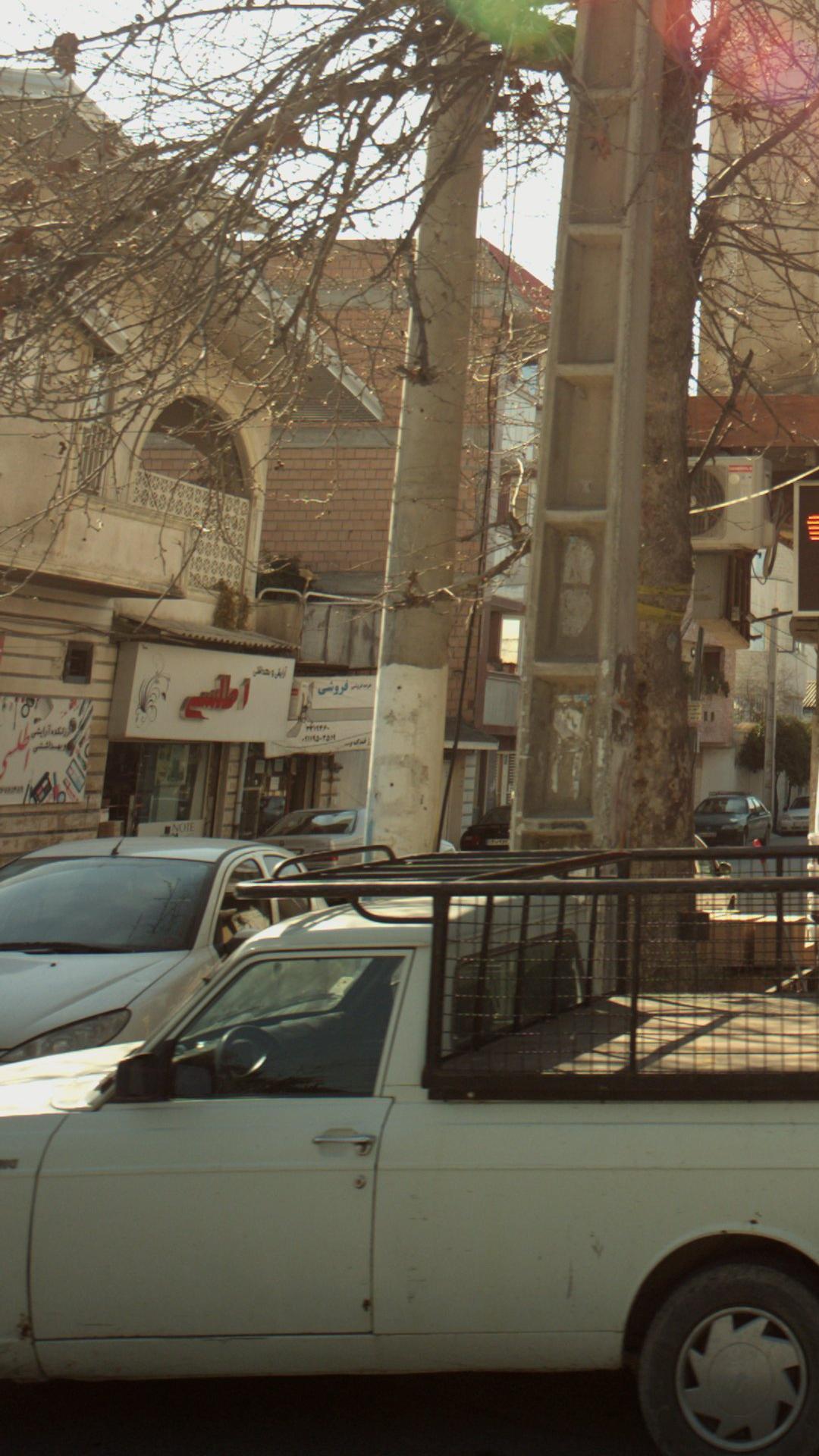 آریشی اطلسی