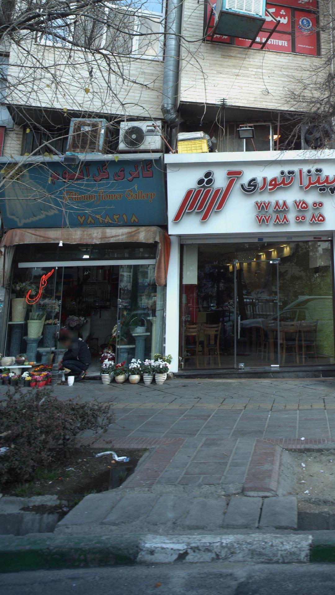 گالری گل آلیوم