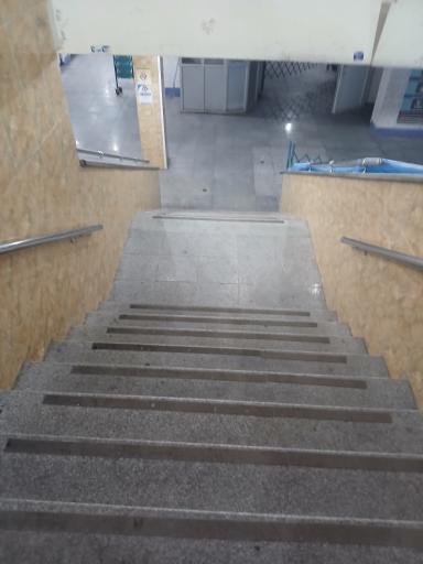 سرویس بهداشتی