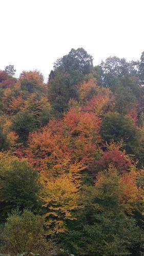 اقامتگاه بوم گردی پنووشpanovash