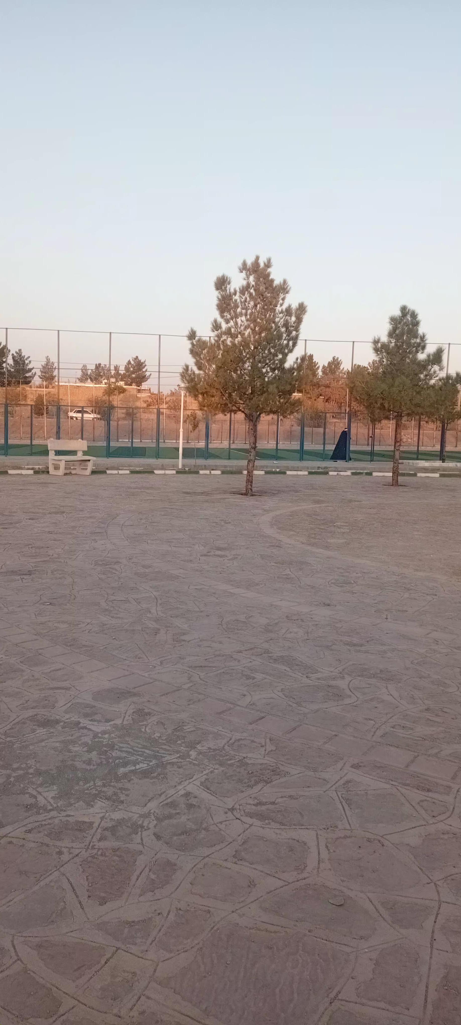 زمین ورزشی