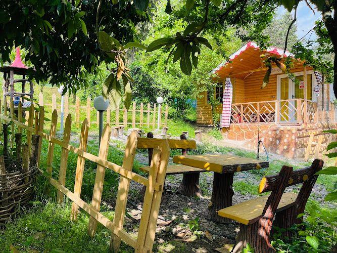 ویلا جنگلی عاشری