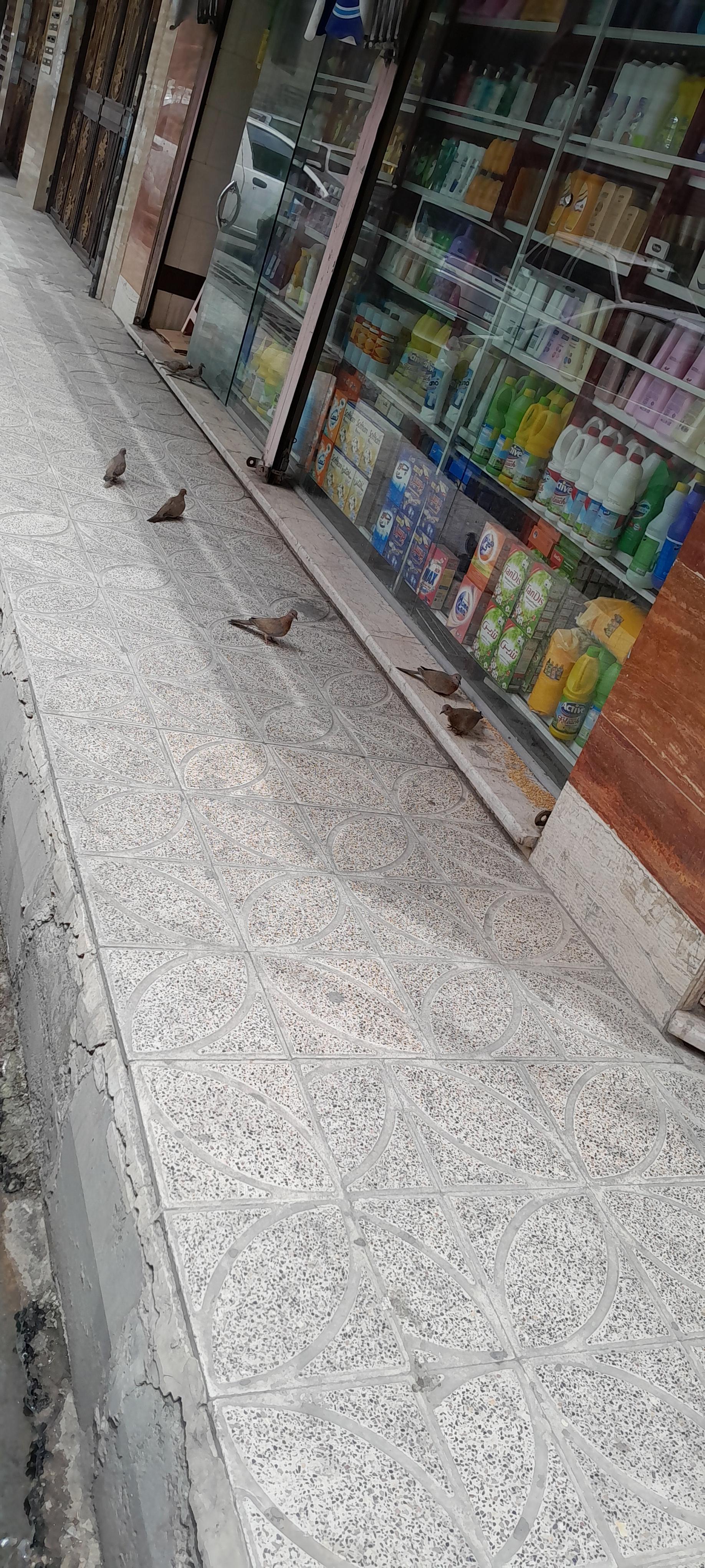 سوپر مارکت سهند