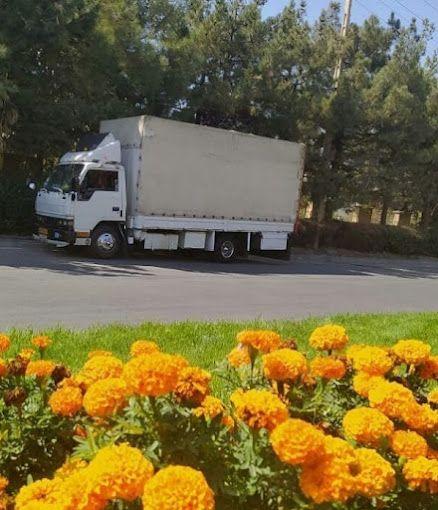 باربری آرین بار