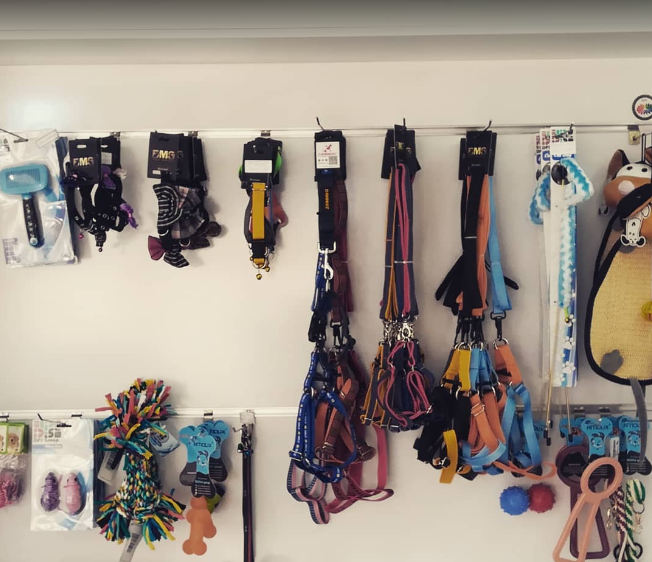 کلینیک دامپزشکی بهراد