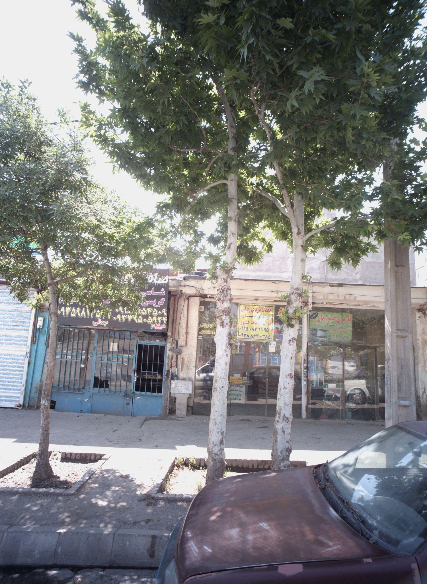 باربری صبوریان