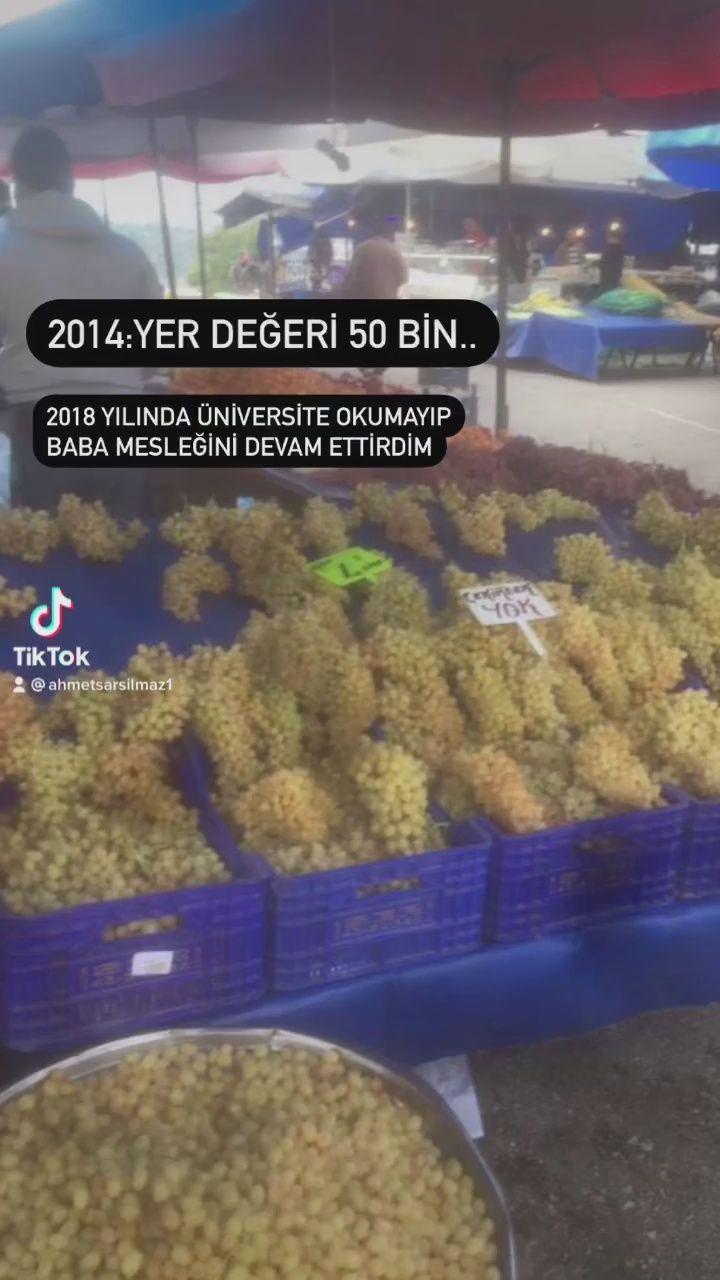 میوه های استوایی بروجن