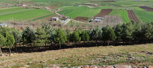پارک صخره ای باباداوود