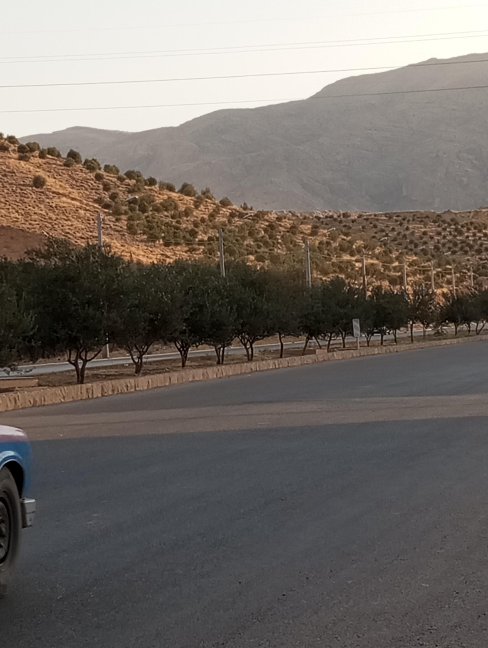 پارک فرزانگان