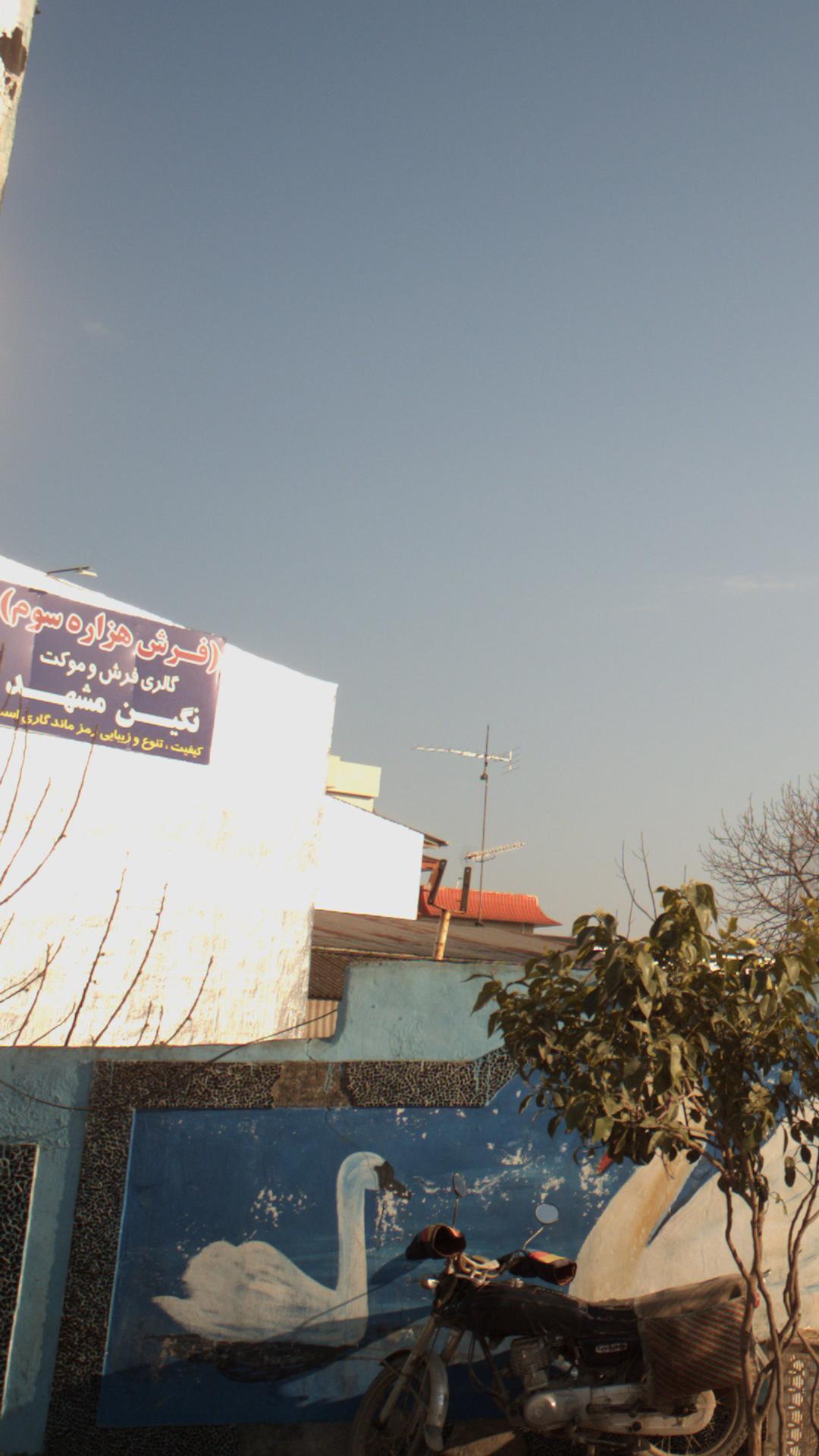 فرش نگین مشهد