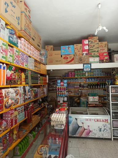 موادغذایی و لبنیات ناطقی