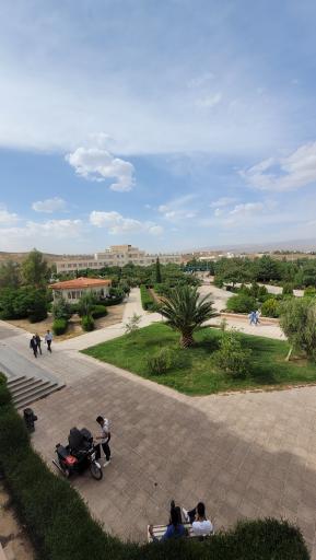 دانشگاه فسا