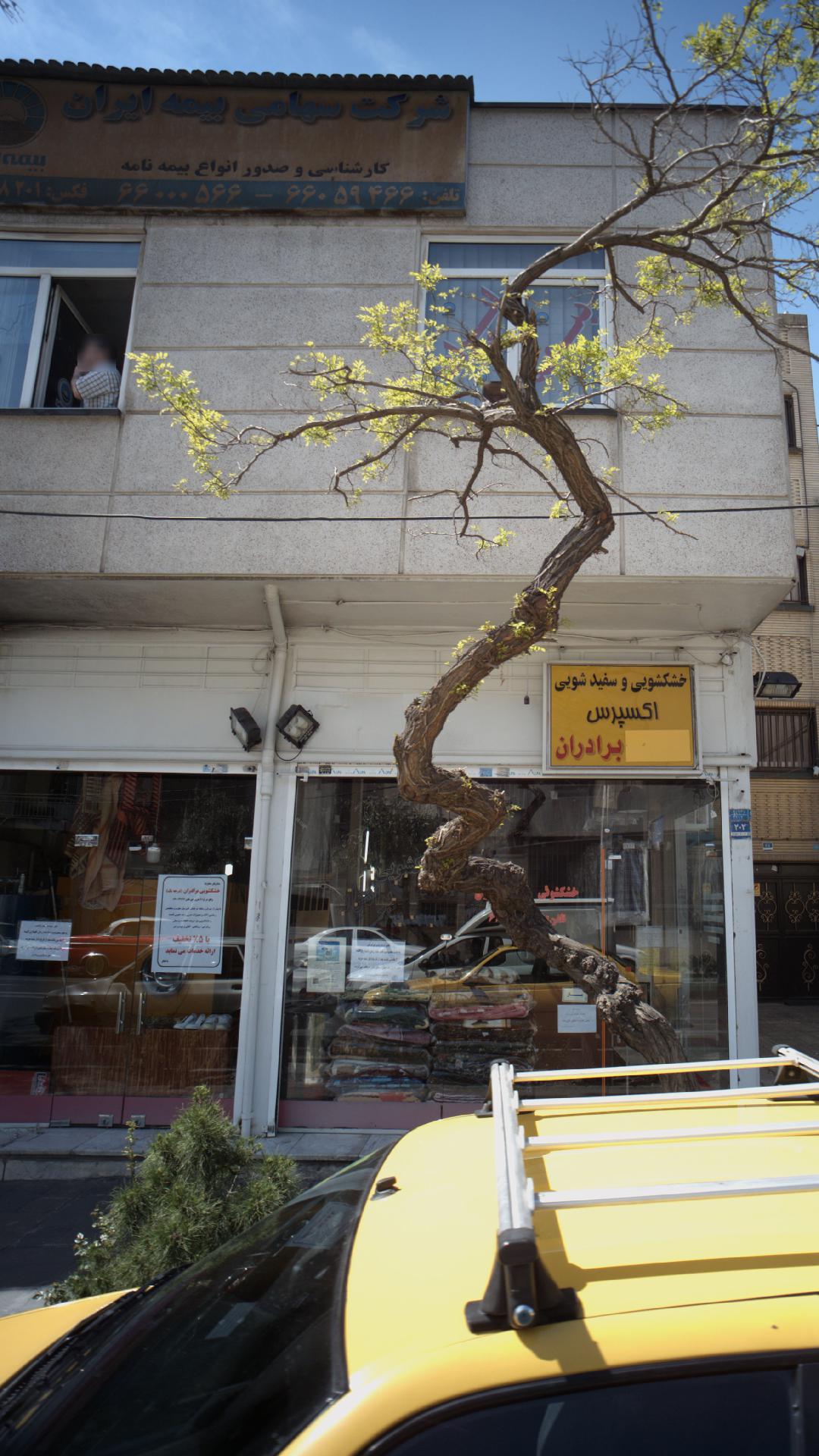 بیمه کوثر کد 5239