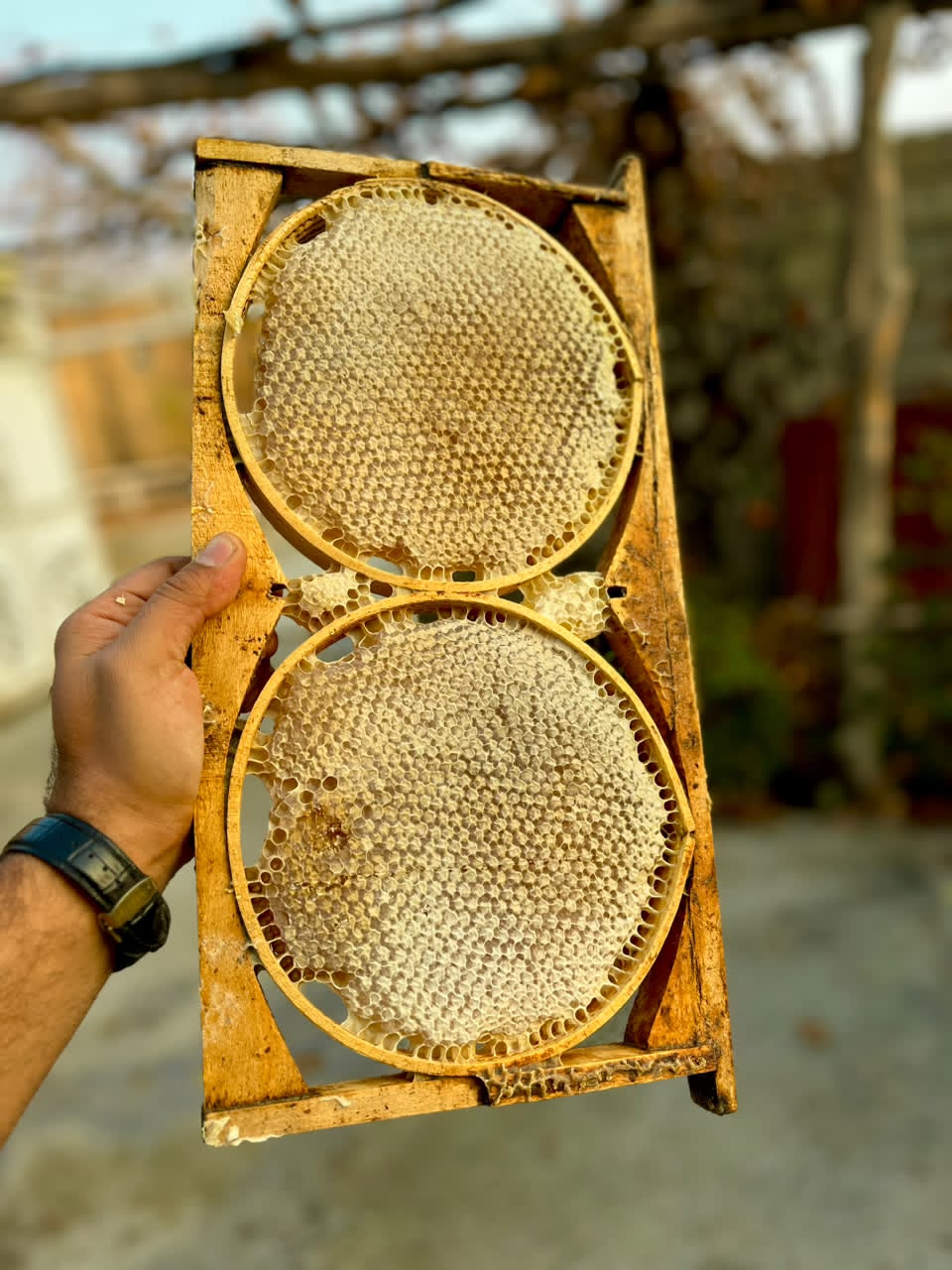 عسل طبیعی امیر بامداد