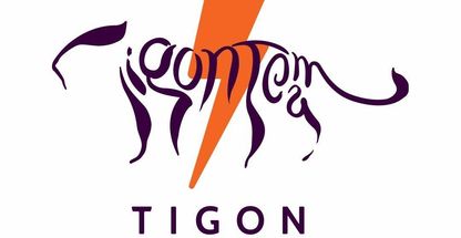 باشگاه ورزشی تایگون (شعبه ونک)