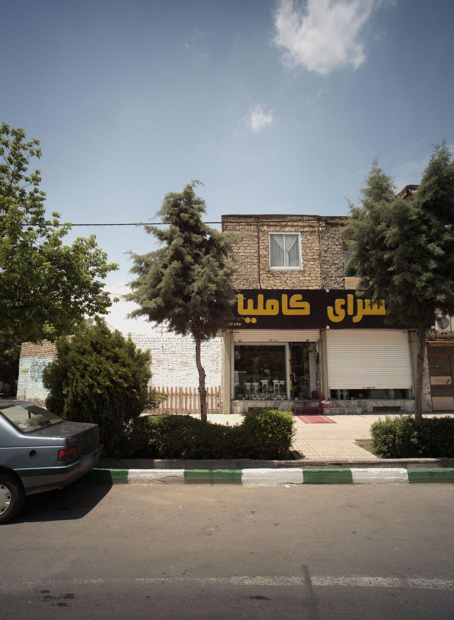 گلسرای کاملیا