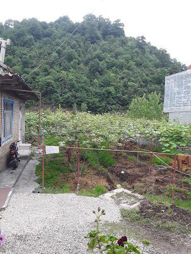 اقامتگاه حافظ