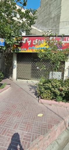 کلبه رنگ موی پاکسیما