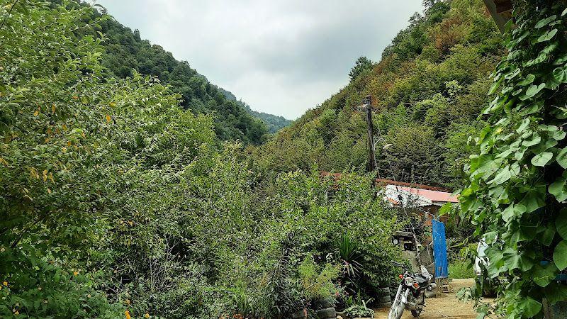 اقامتگاه صمد بهرام زاده