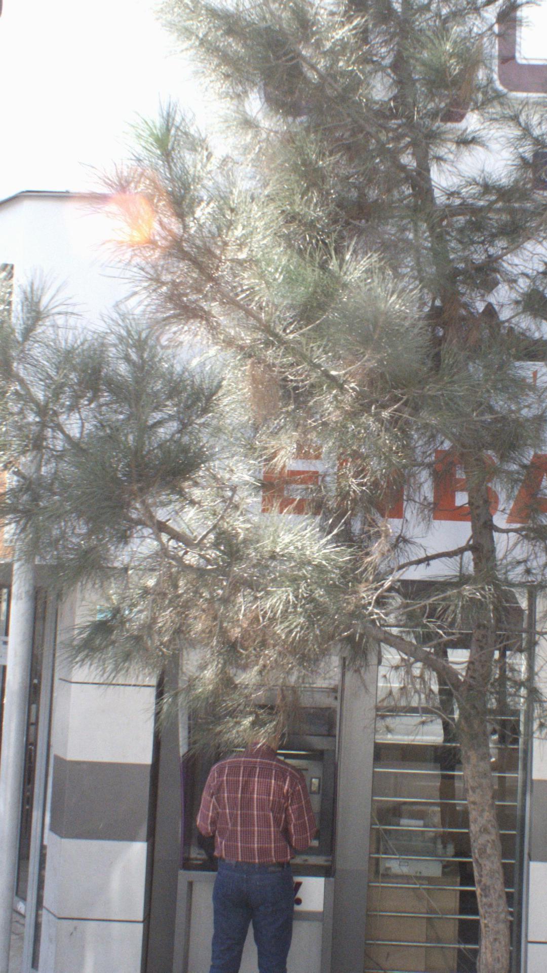 بانک کشاورزی شعبه حکمت