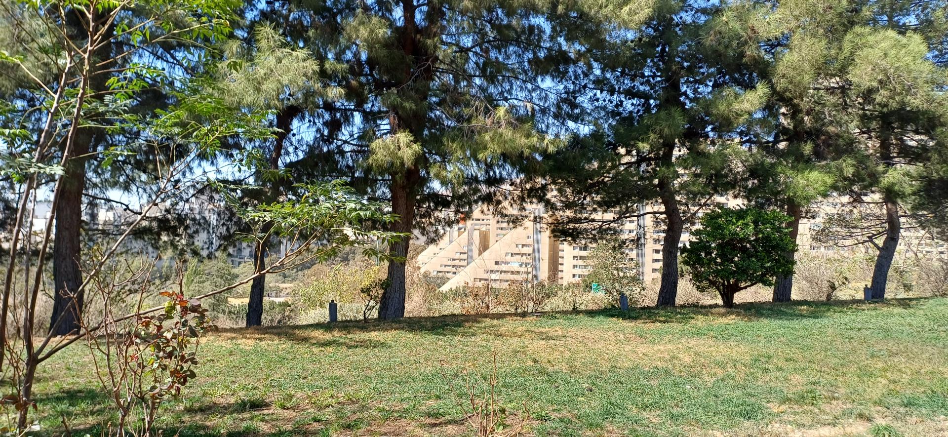 بوستان پایین
