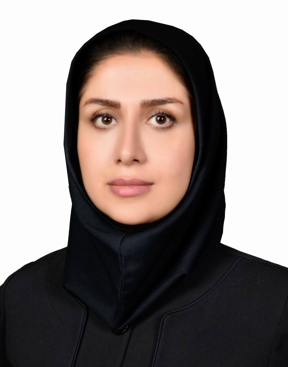 وکیل میرزاده اهری