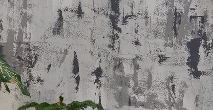 پتینه بوشهر