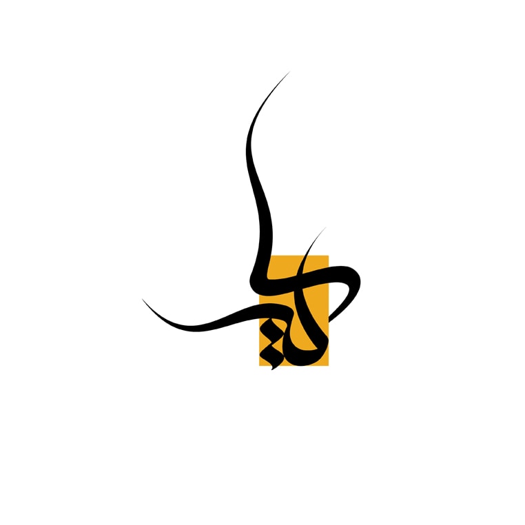 فیلم و عکس سایه