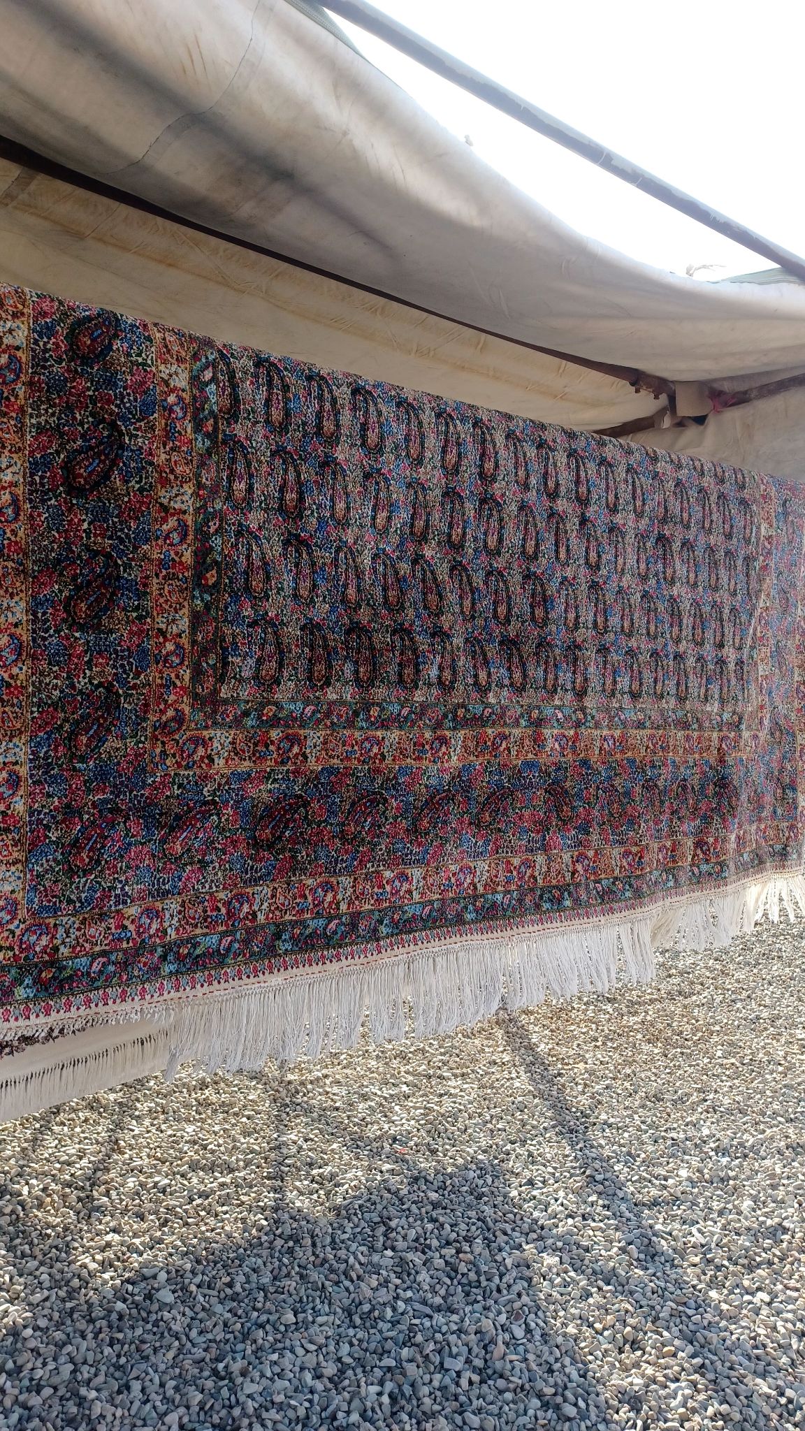 قالیشویی حشمت