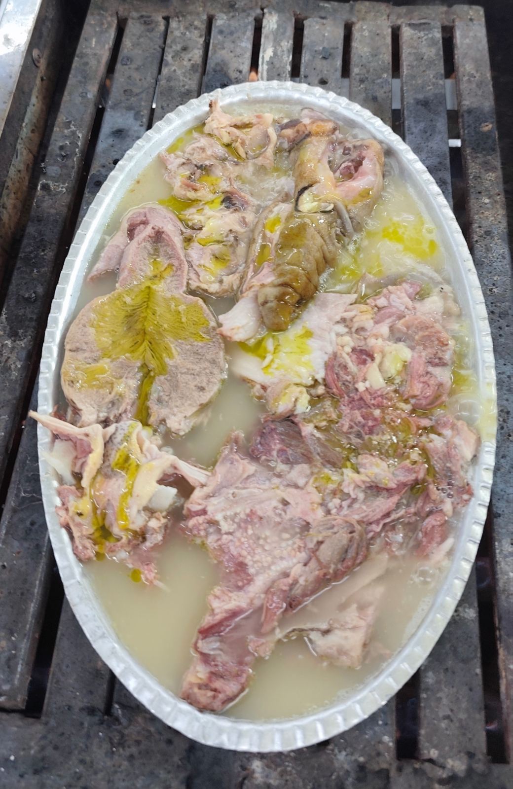 طباخی افق