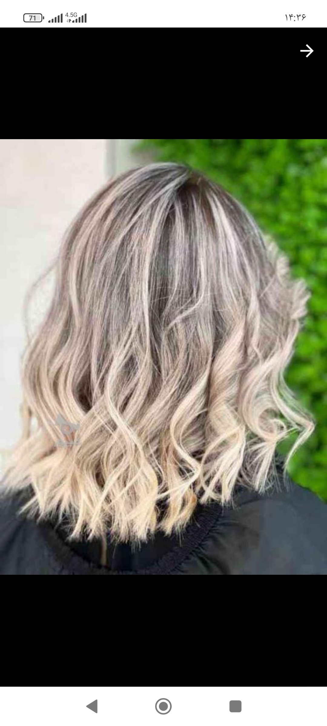 خدمات تخصصی رنگ،لایت،احیا وصافی مو مهتاب