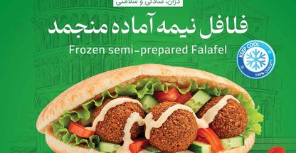 تولیدی فلافل مکانیزه دژان