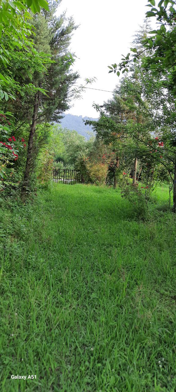 اجاره روزانه ویلا جنگلی اسکندری