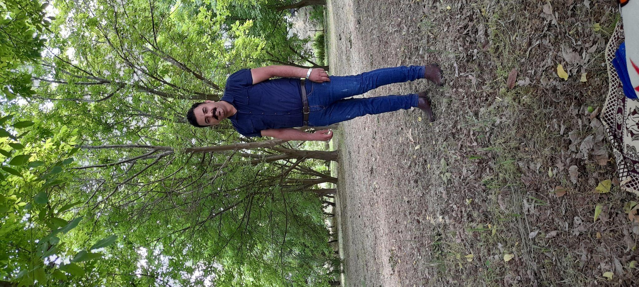 خشکشویی شاهو