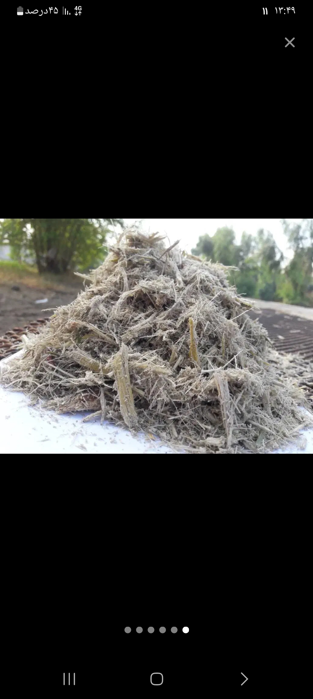 باگاس نیشکر